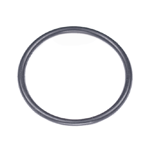 O-RING 1"